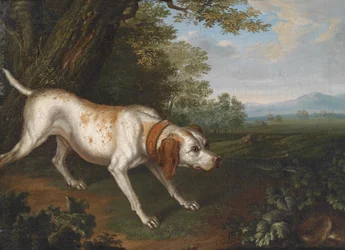 Ein die Beute witternder Jagdhund in einer Landschaft